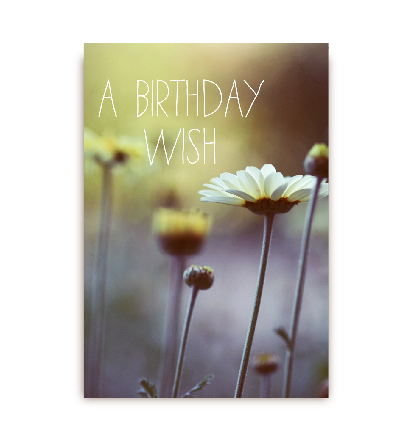 A Birthday Wish - Lagom Design
