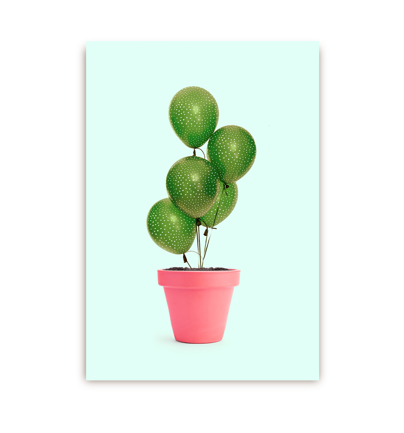 Cactus Balloons Postcard - Lagom Design