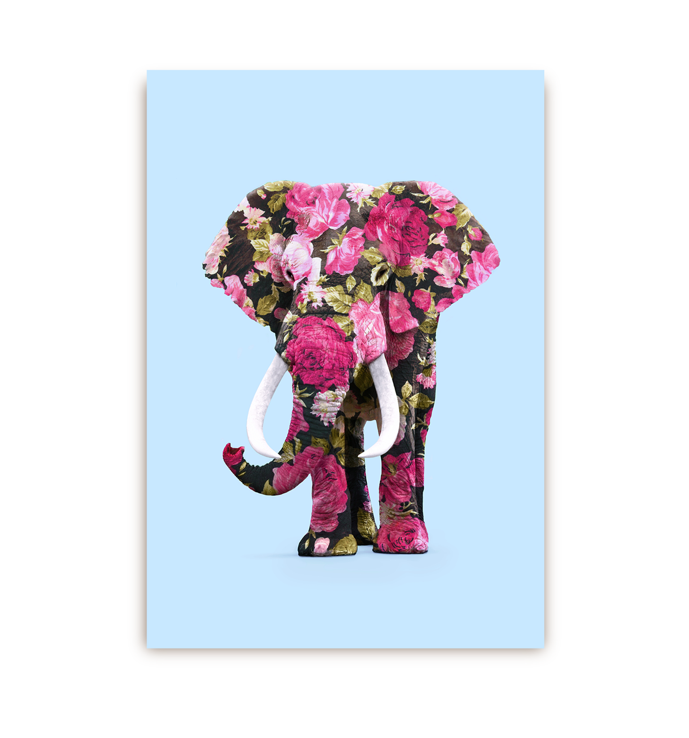 Floral Elephant Postcard - Lagom Design
