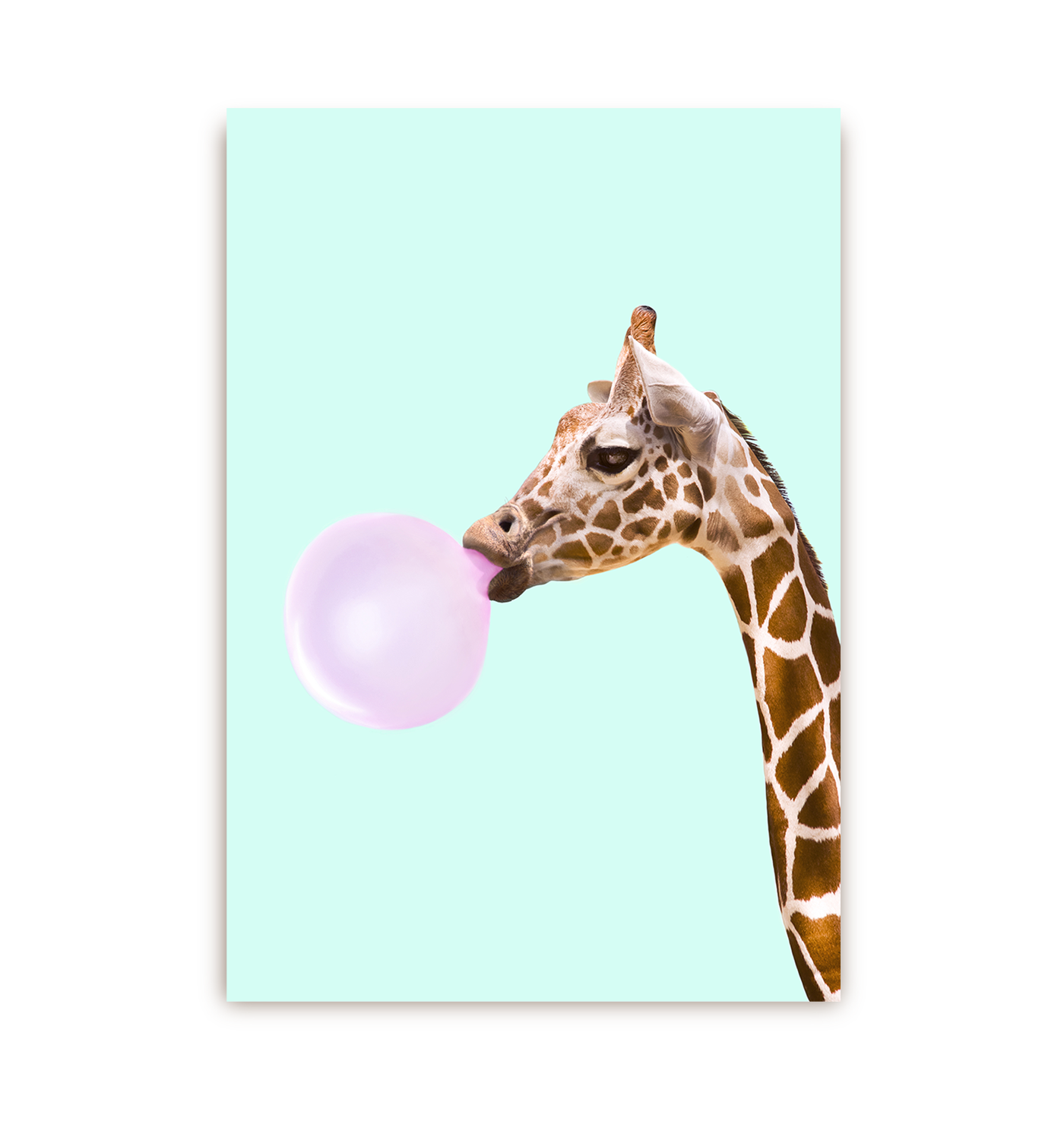 Bubblegum Giraffe Postcard - Lagom Design