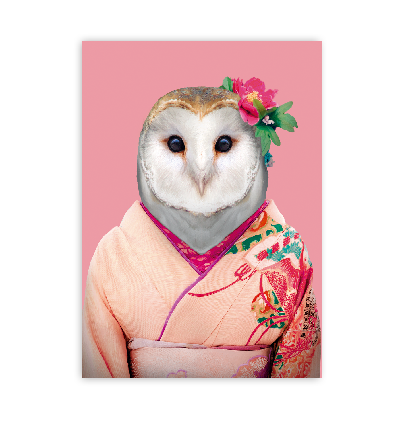 Barn Owl - Lagom Design
