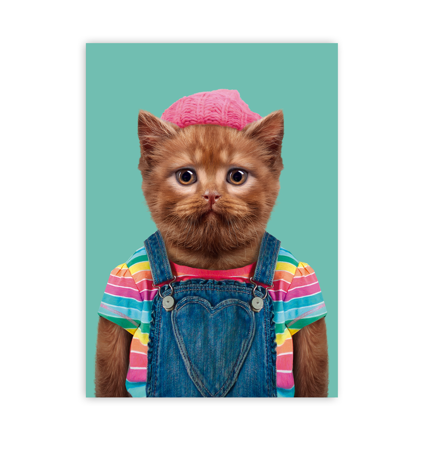 British Shorthair Cat - Lagom Design