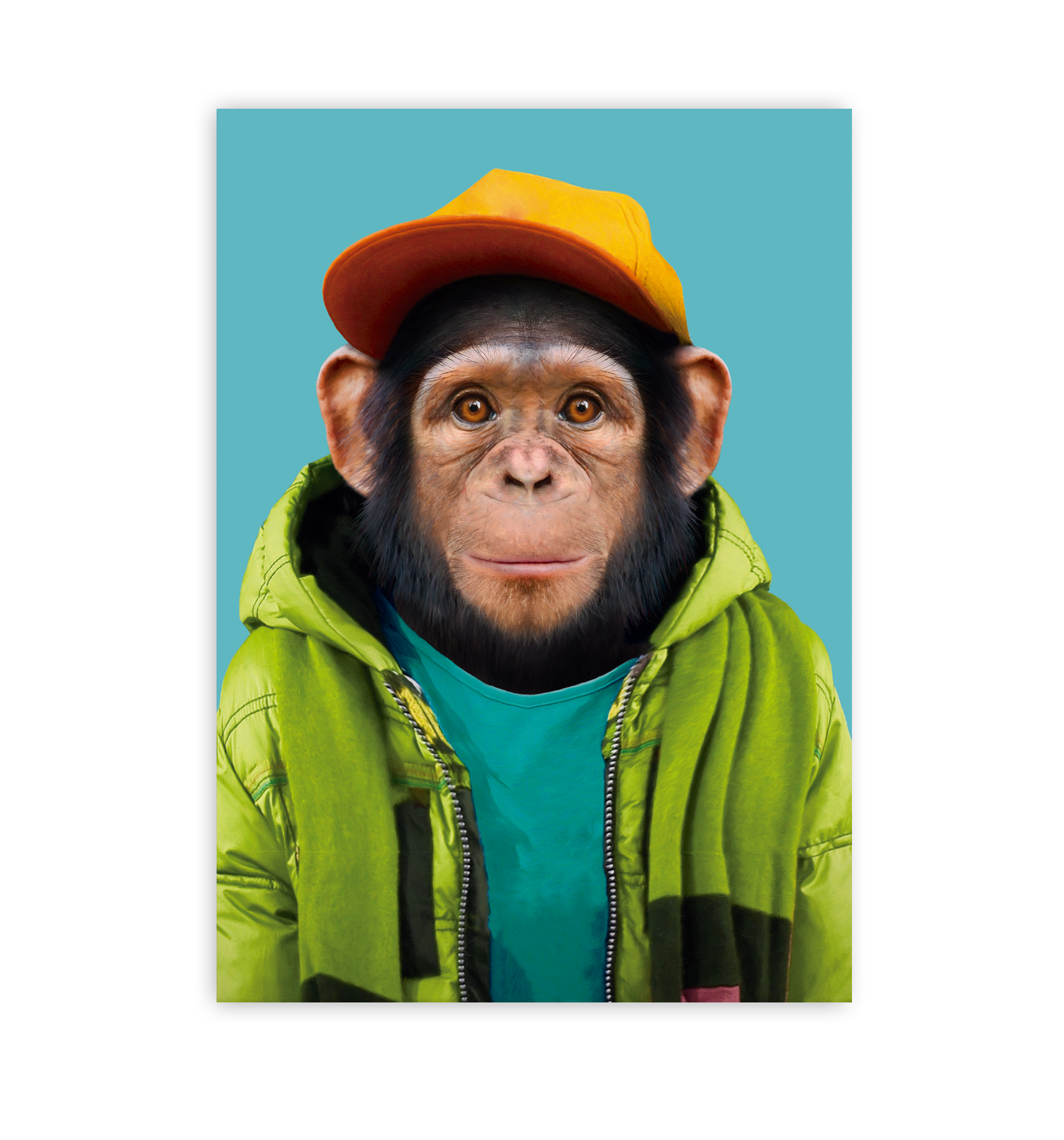 Common Chimpanzee - Lagom Design