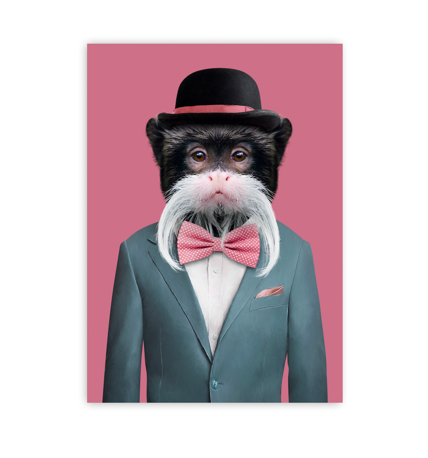 Emperor Tamarin - Lagom Design