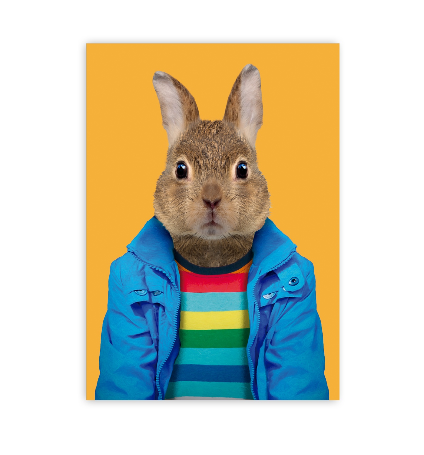 European Rabbit - Lagom Design