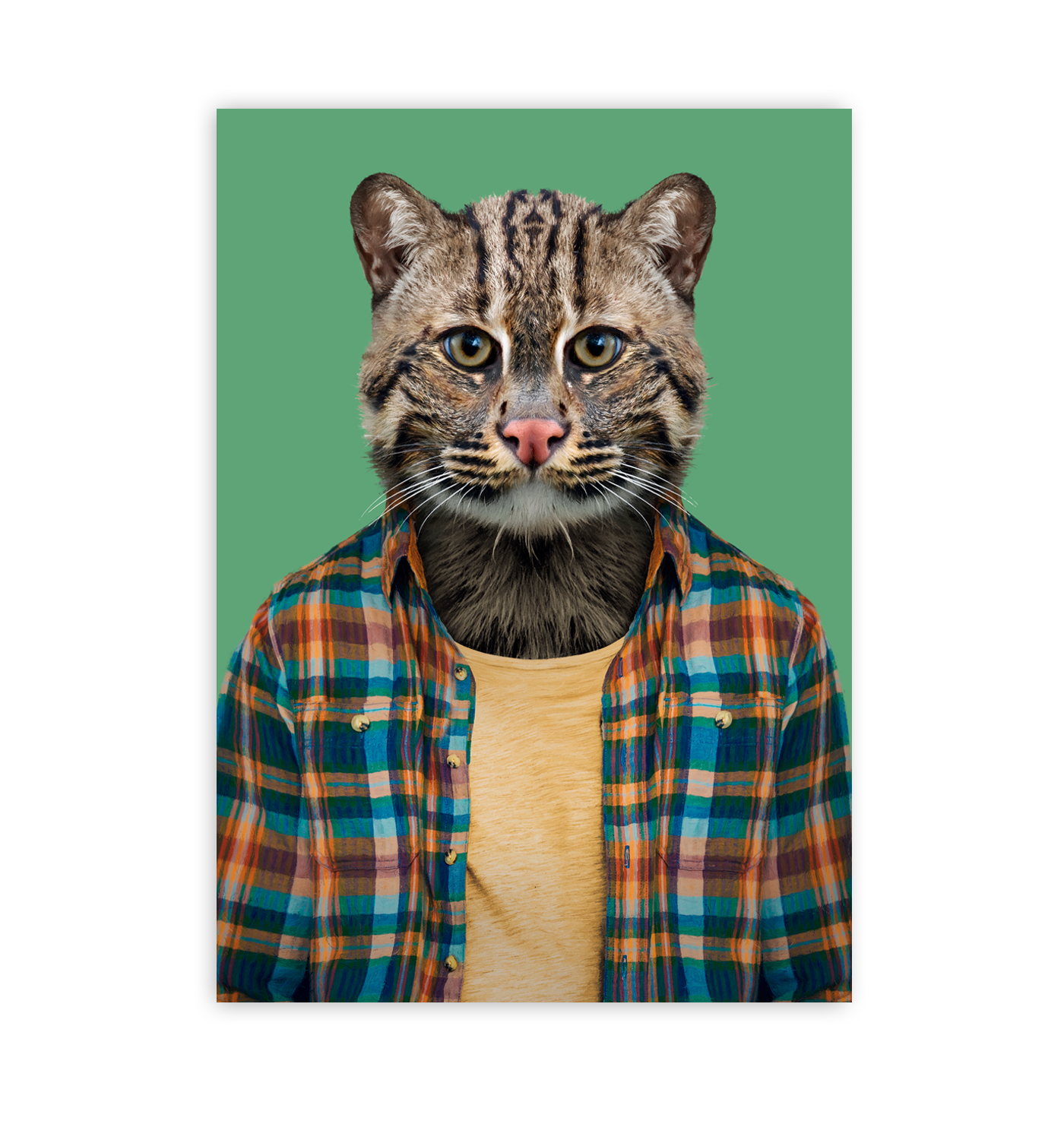 Fishing Cat - Lagom Design