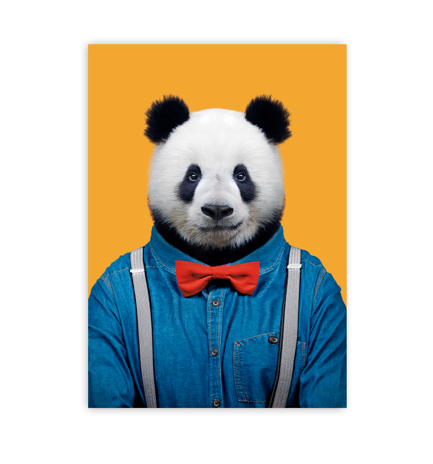 Giant Panda - Lagom Design