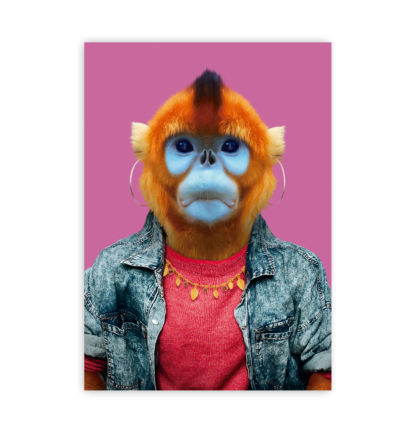 Golden Snub-nosed Monkey - Lagom Design