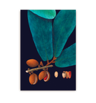 Nutmeg - Lagom Design