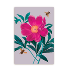 Gentiana - Lagom Design