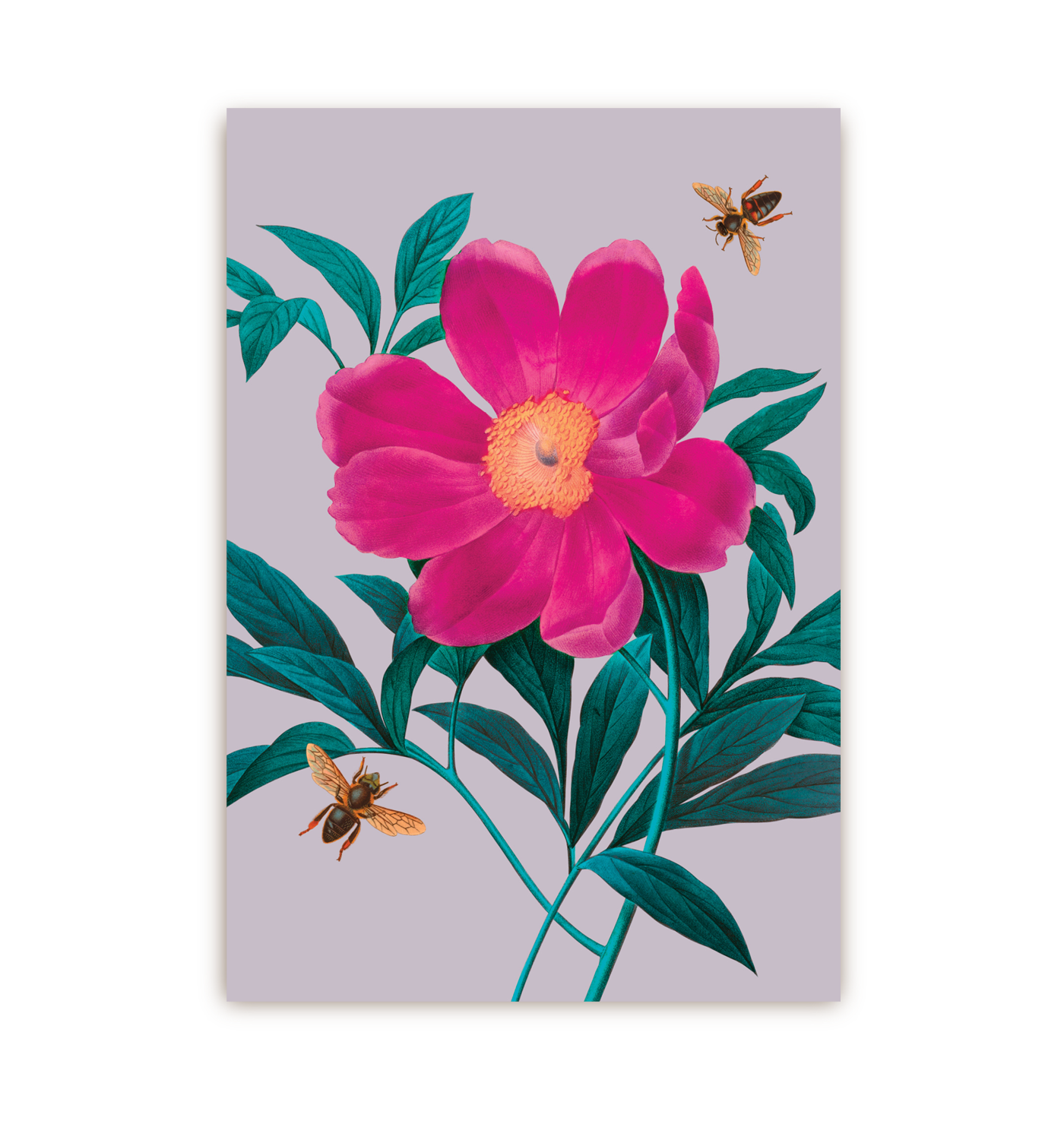 Gentiana - Lagom Design