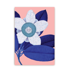 Elephant Apple - Lagom Design