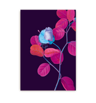 Caper Bush - Lagom Design