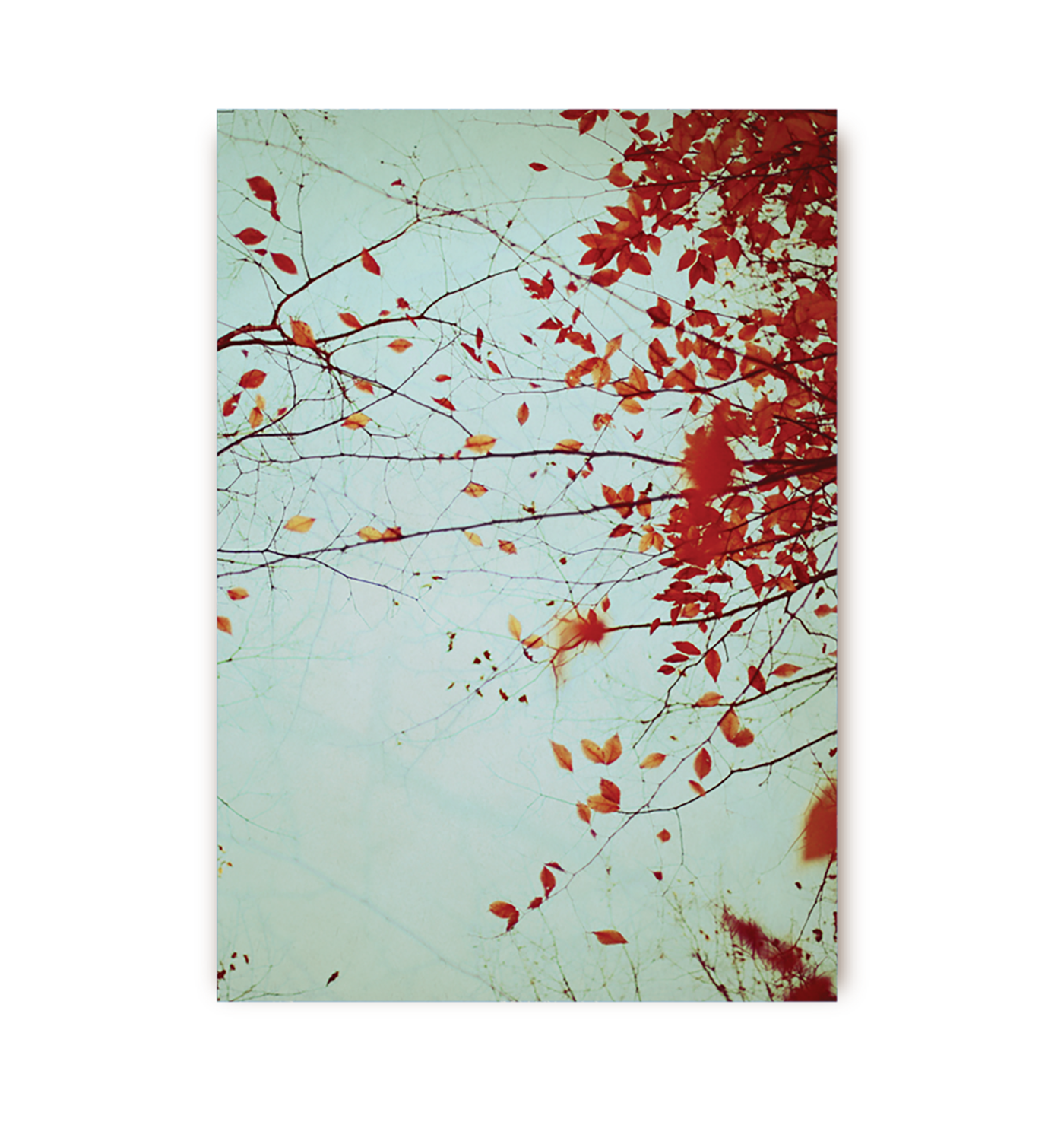Autumns Reach - Lagom Design