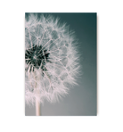 Dandelion Dream - Lagom Design