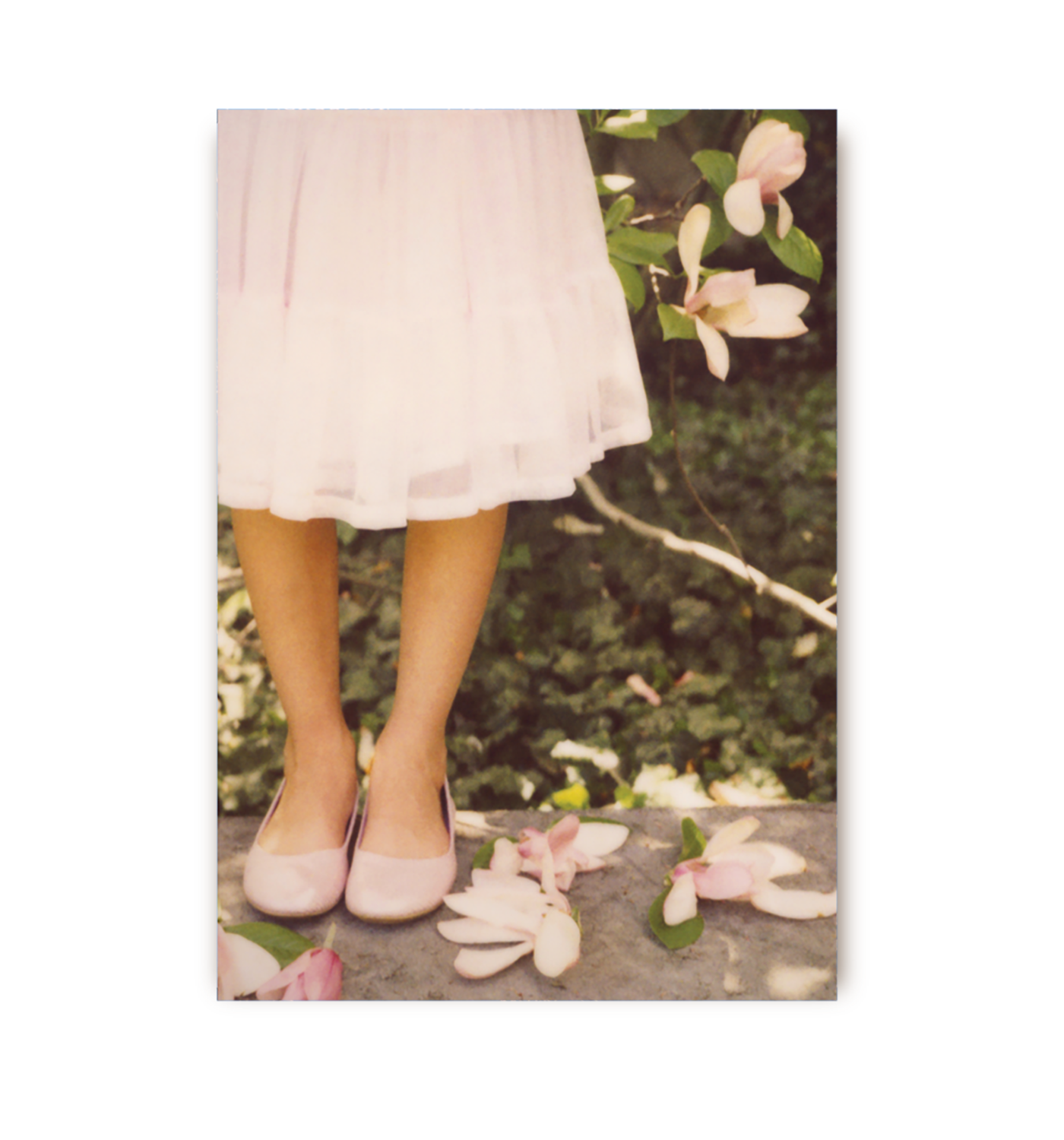 Late Bloomer - Lagom Design