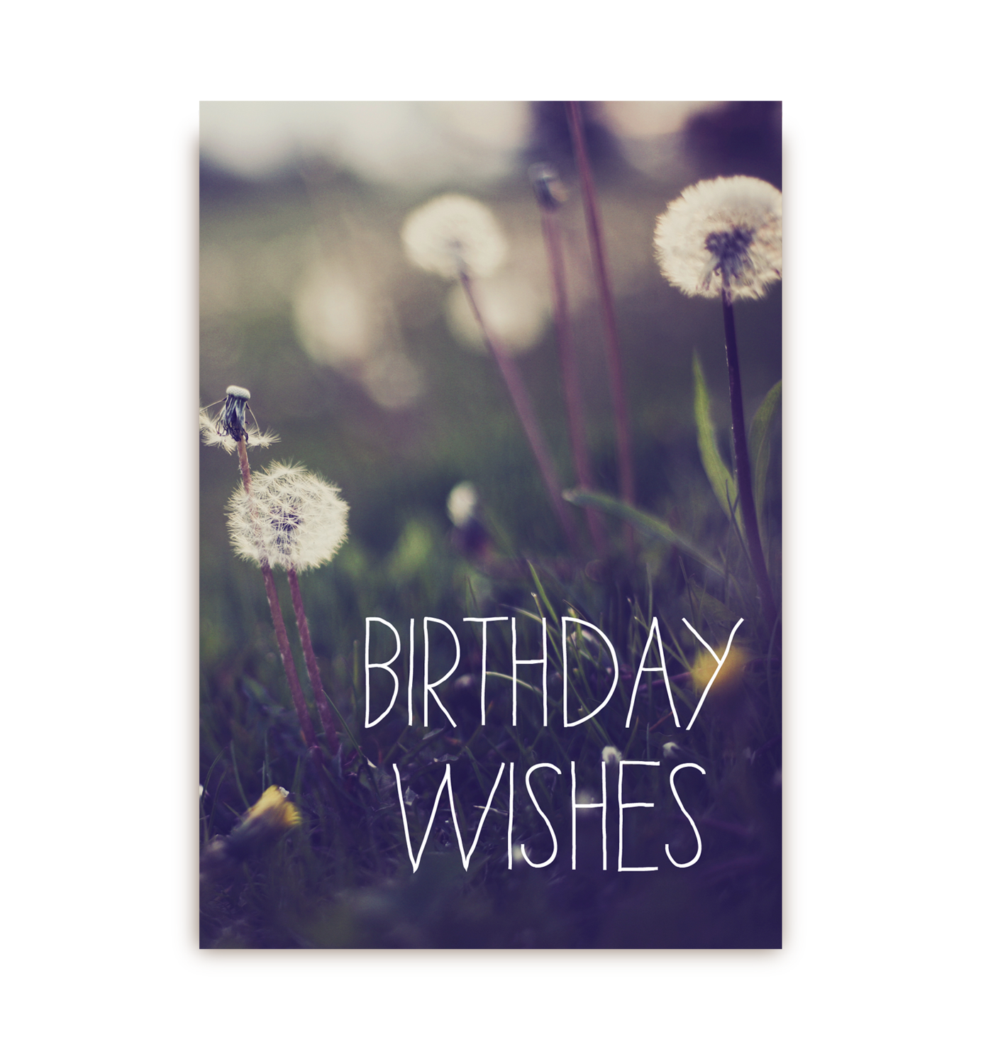 Birthday Wishes - Lagom Design