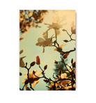 Sunshine to Grow - Lagom Design