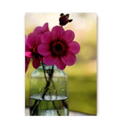 Dahlias In A Blue Jar - Lagom Design