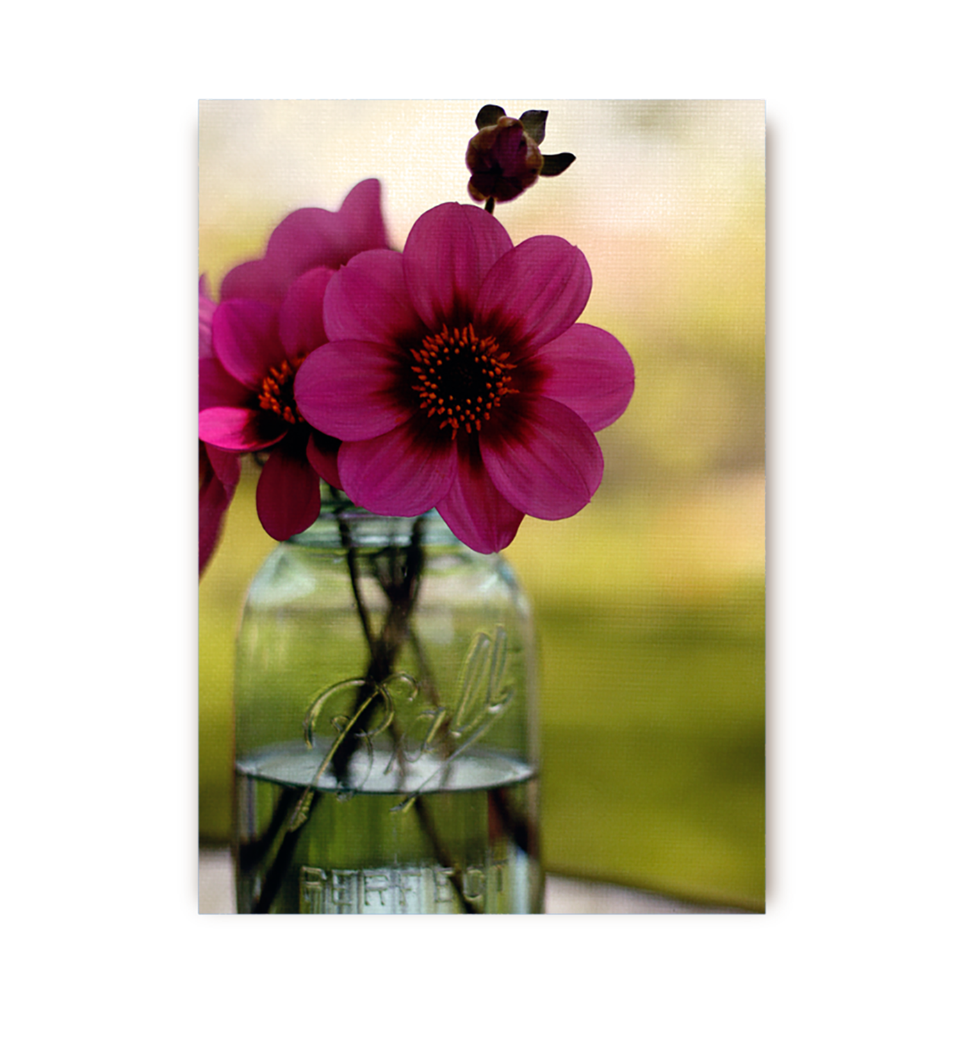 Dahlias In A Blue Jar - Lagom Design