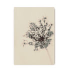 Winter Queen - Lagom Design