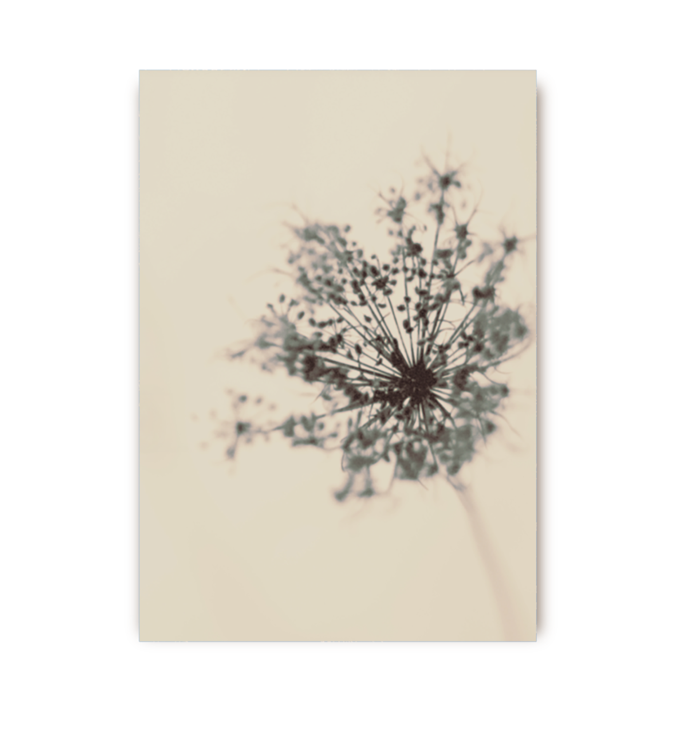 Winter Queen - Lagom Design