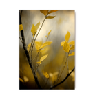 Fog - Lagom Design